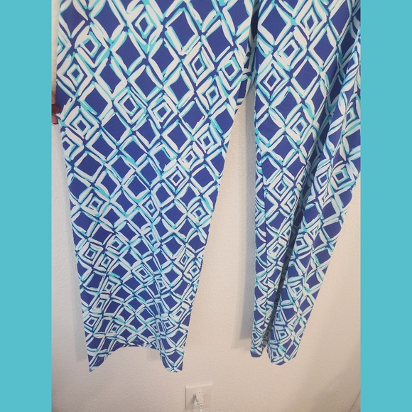 Barbara Erickson NWT Blue Print Pull On Ankle Pants Large - Picture 5 of 7